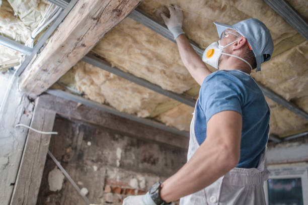 Best Insulation Materials and Products in Rosend, LA